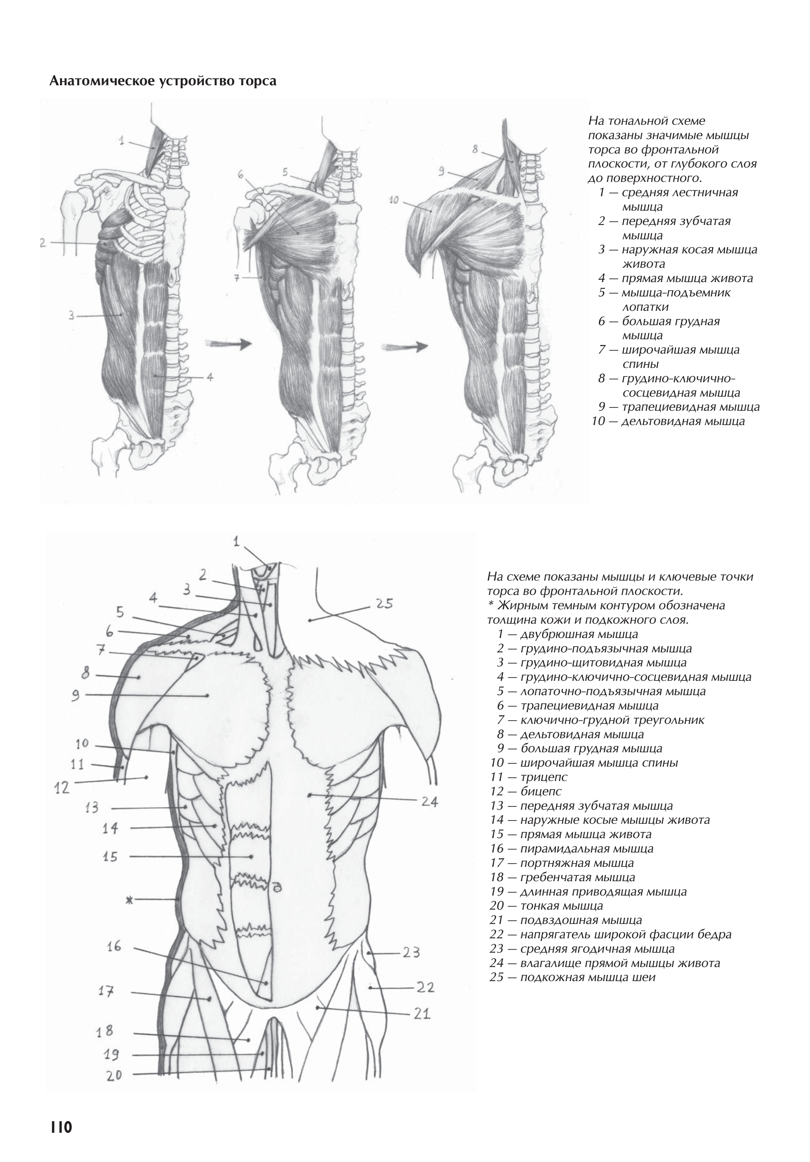 آموزش نقاشی طراحی سیاه قلم شهرری
